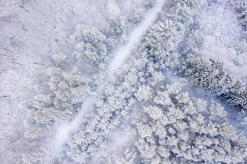 鸟瞰被冰雪覆盖的森林包围的道路。