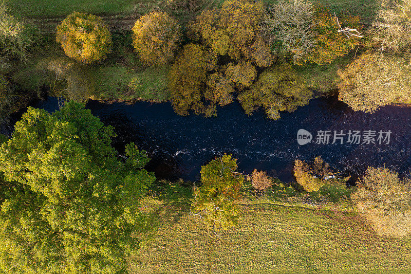 河流和秋树的嗡嗡声
