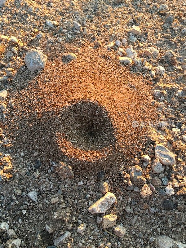 蚂蚁山