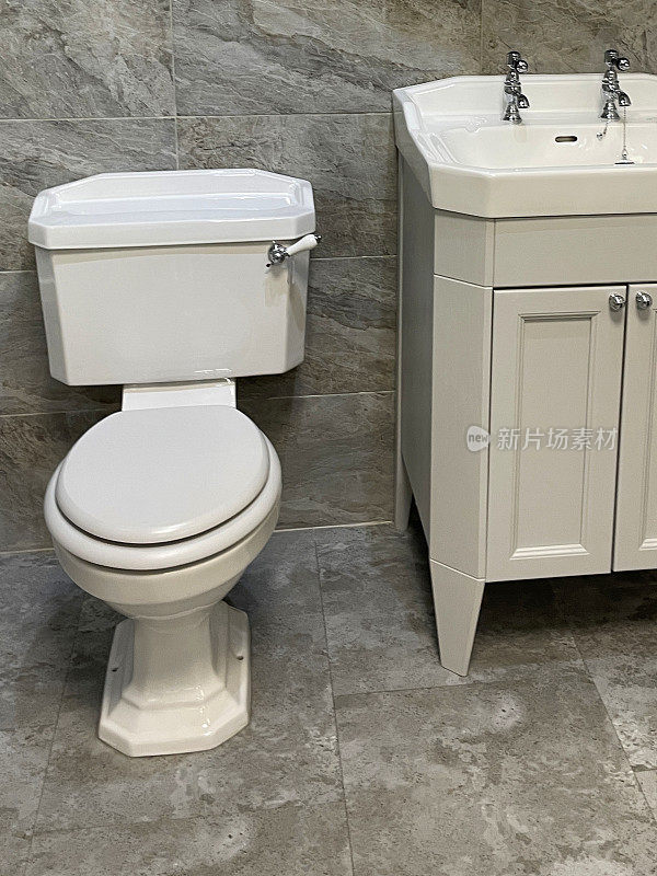 白色陶瓷的豪华浴室套房的特写图像，手柄冲水马桶，洗手盆单元