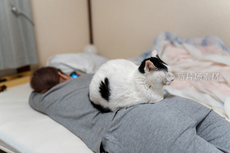 放松的猫在床上十几岁的女孩在家里