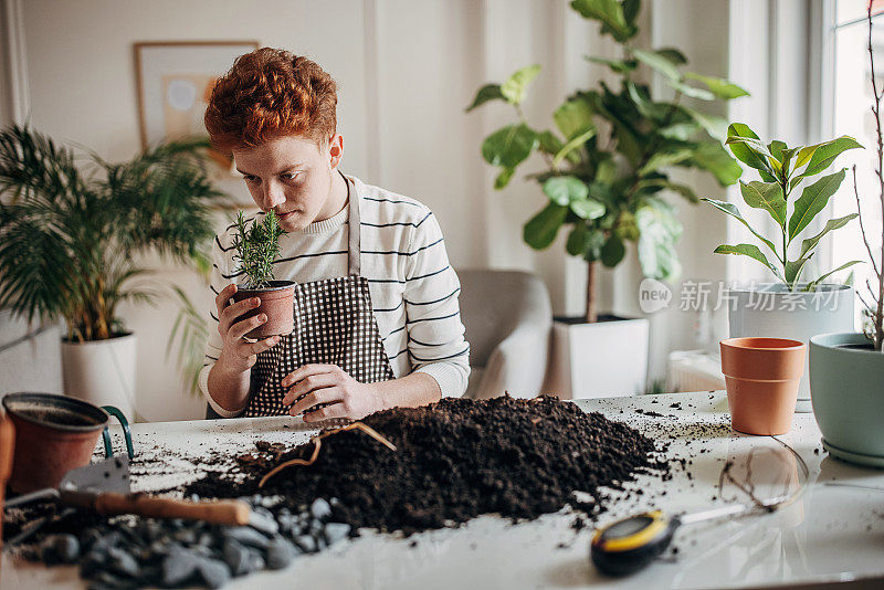 红发少年在家里种植室内植物