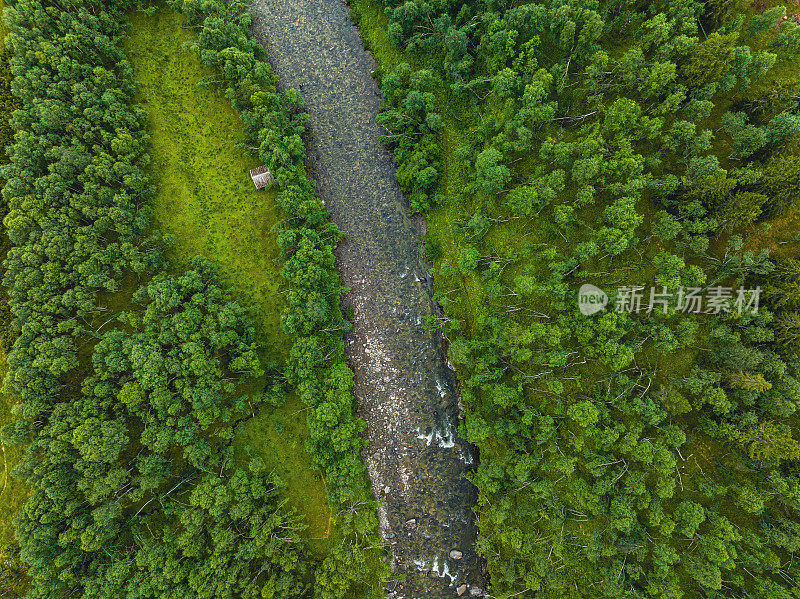 河流流经绿色森林景观