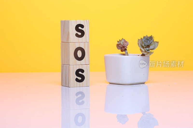 木块上的SOS字
