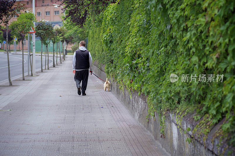 成熟男人带着狗在城里散步