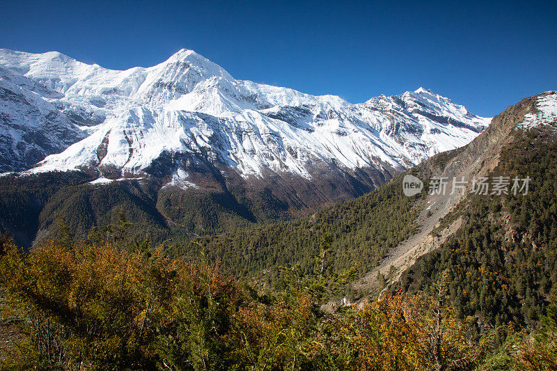 雪山，安纳普尔纳环线，尼泊尔