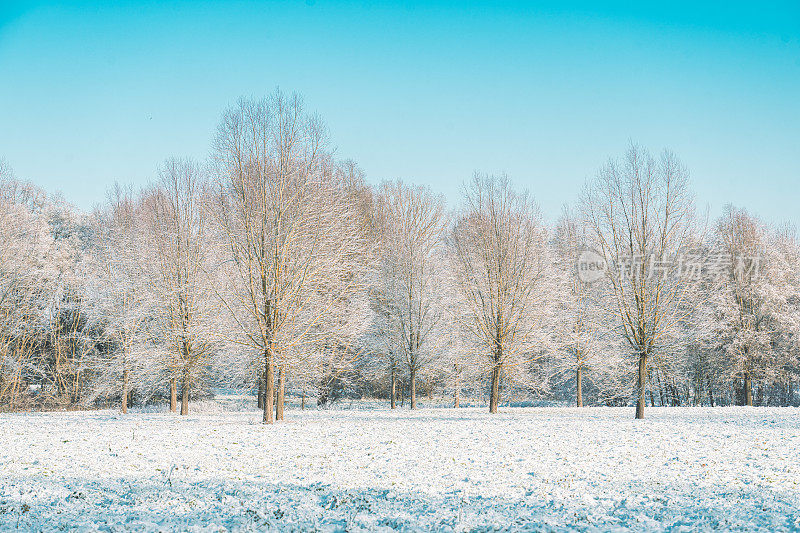 一个寒冷的早晨，这个季节的第一层雪