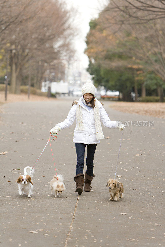 一个带着三条狗散步的年轻女人