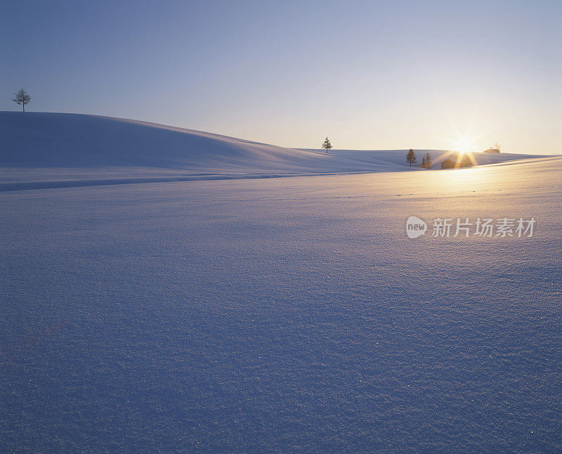 日出时分，广阔的雪地上的房子。日本北海道Biei