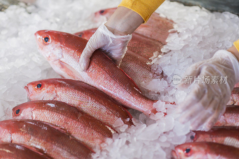 鲜鱼，红鲷鱼，在海鲜店出售