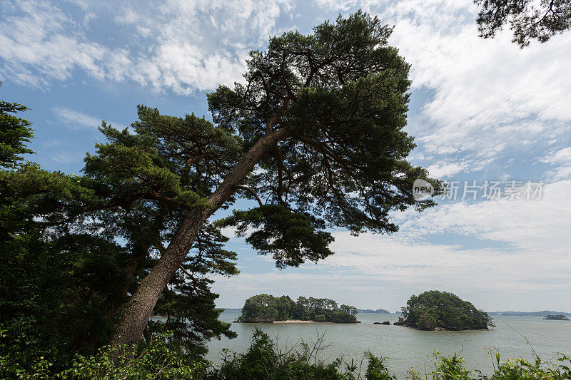 日本的松岛湾