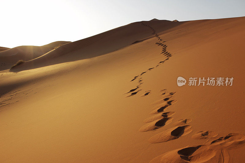 撒哈拉沙漠的日出和脚印，摩洛哥