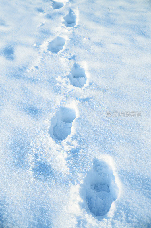 人行道上的雪