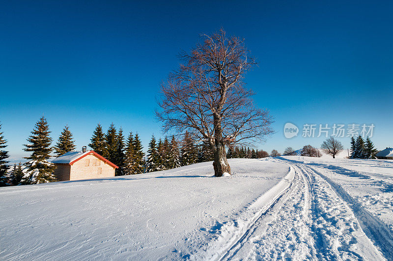 冬天被雪覆盖的高山小屋