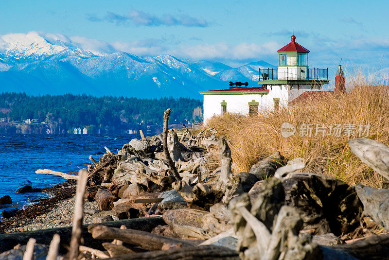 华盛顿州西雅图西点灯塔海滩上的原木
