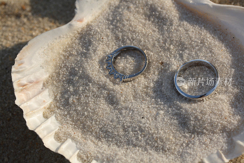 贝壳里的结婚戒指