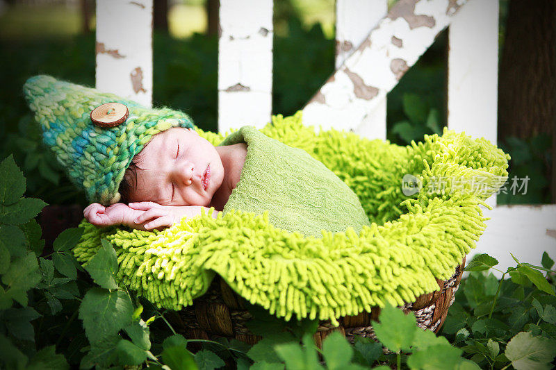 新生的侏儒婴儿在花园里睡觉