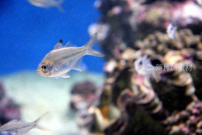 水族馆