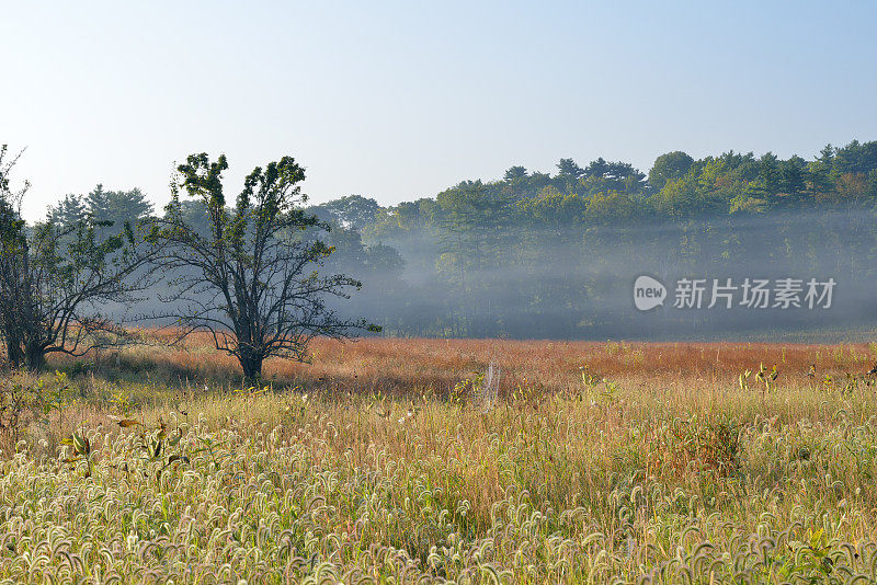 福吉谷国家历史公园