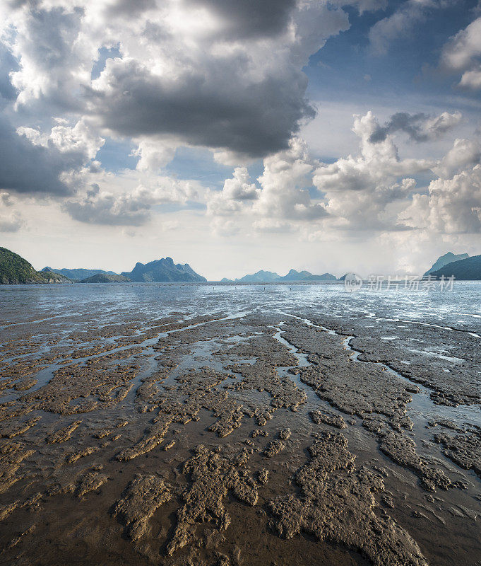 越南下龙湾吉巴岛的泥滩