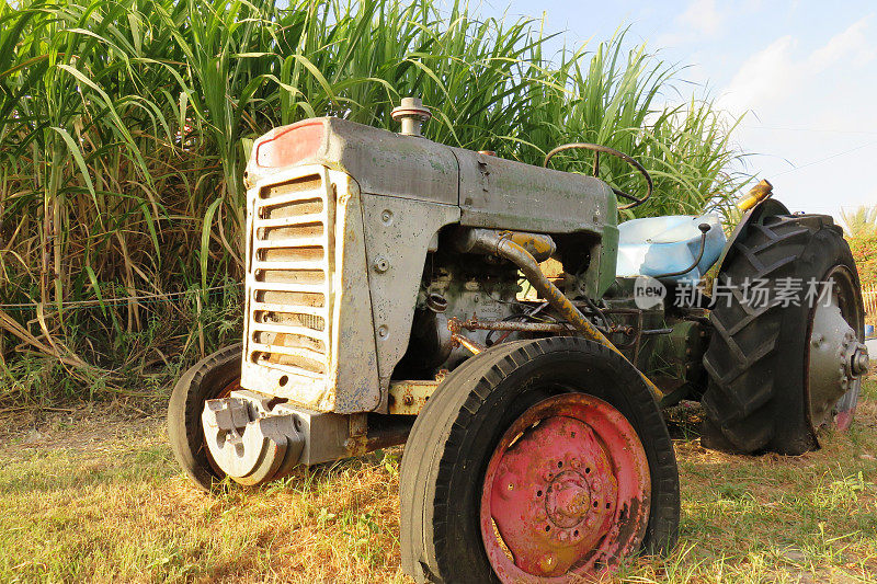 农业，老式拖拉机(弗格森TE-20小灰菲姬)