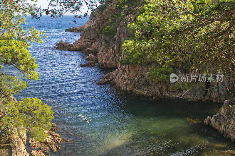 夏天崎岖的海岸湾