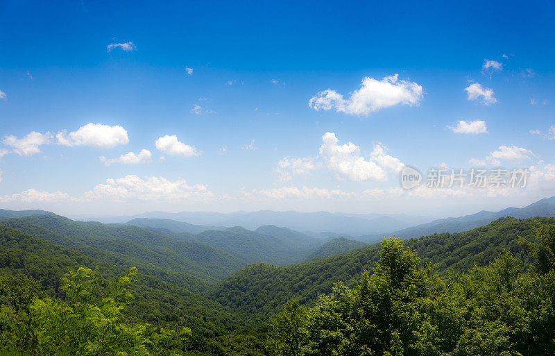 烟山视野