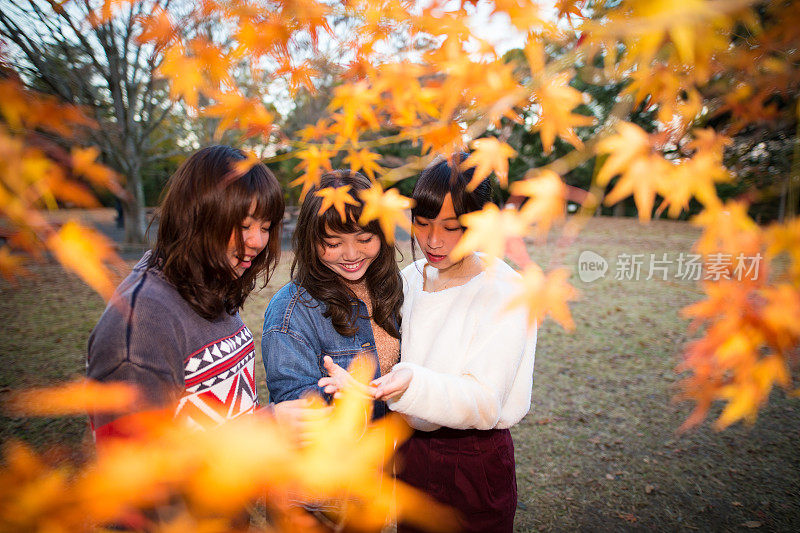 日本小女孩在玩秋天的树叶