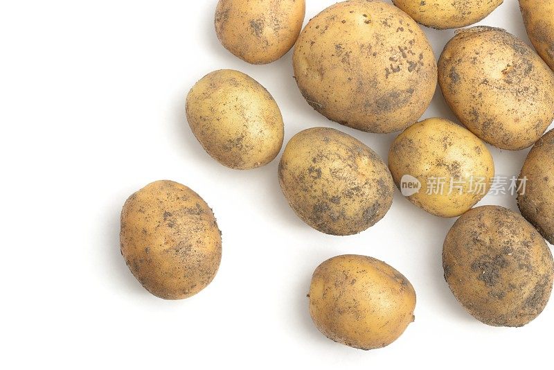 新土豆分散