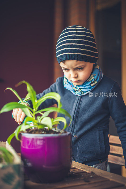 小男孩爱护一株植物