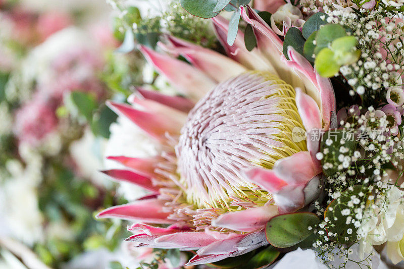 婚礼花束与Protea