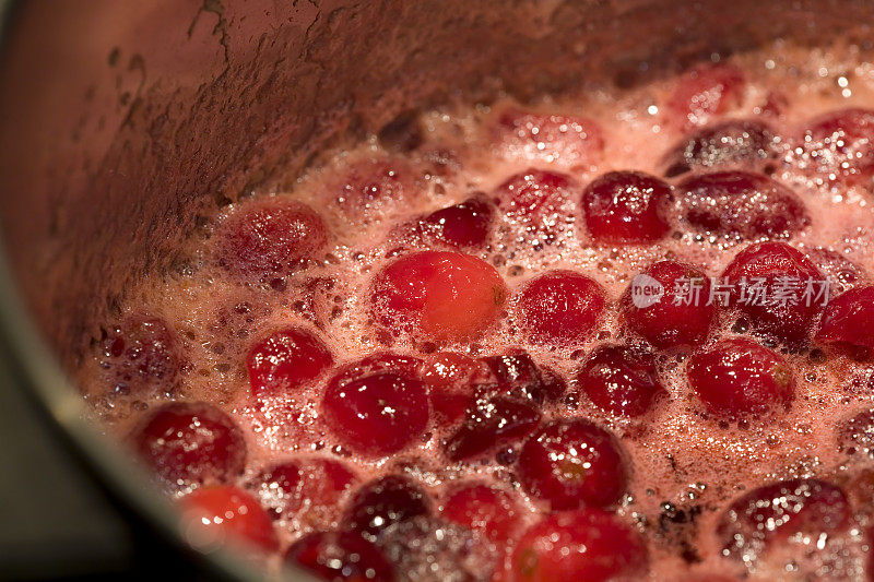 小红莓沸腾