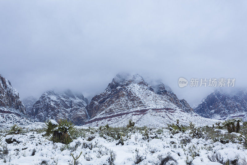 雪中的红岩峡谷