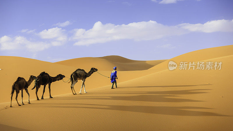 年轻的图阿雷格人和骆驼在非洲西撒哈拉沙漠
