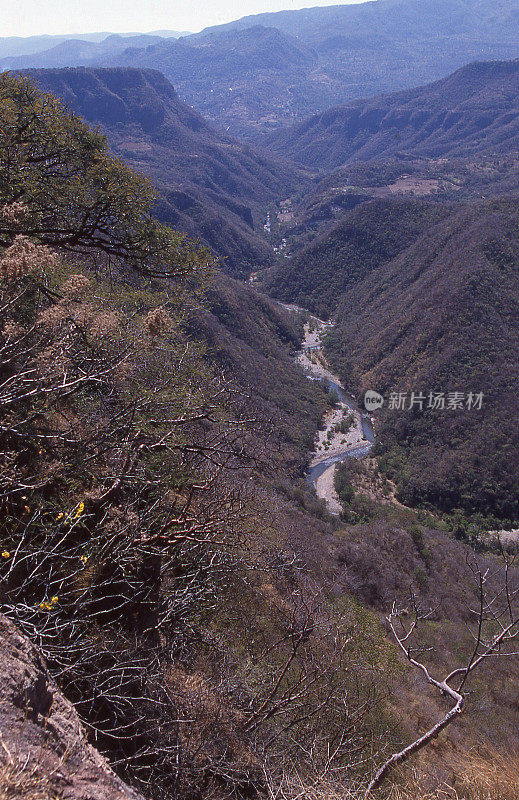 墨西哥库埃纳瓦卡南部太平洋沿岸的深峡谷干燥森林