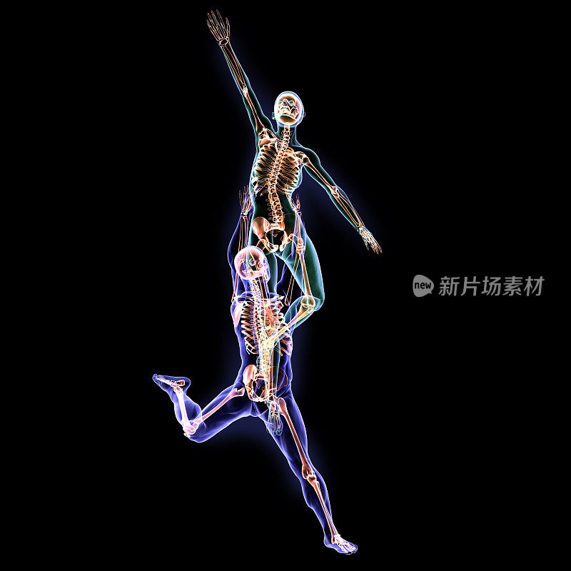 x射线芭蕾舞演员