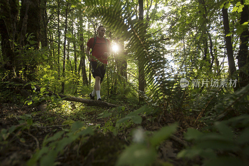 一个年轻人在穿越森林的小路上奔跑。