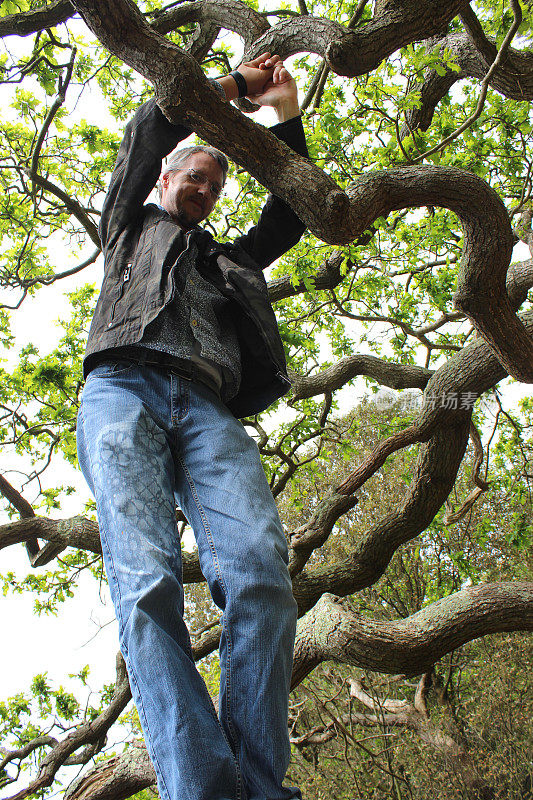 英俊男子爬上橡树，站在树枝上