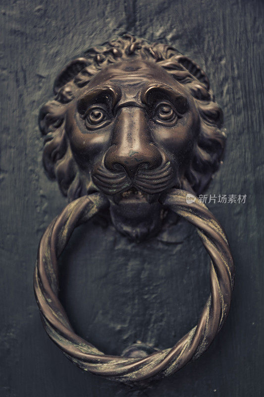 威尼斯的狮头门环