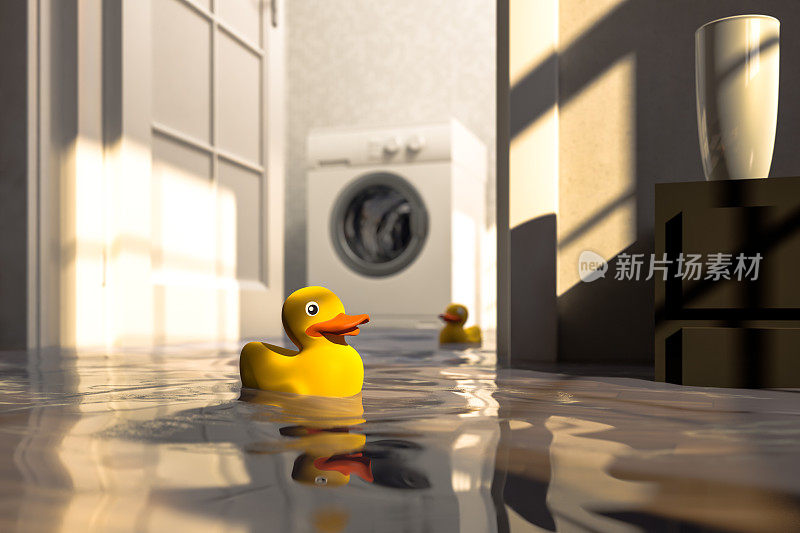 洗衣机和橡皮鸭缺陷造成的水损