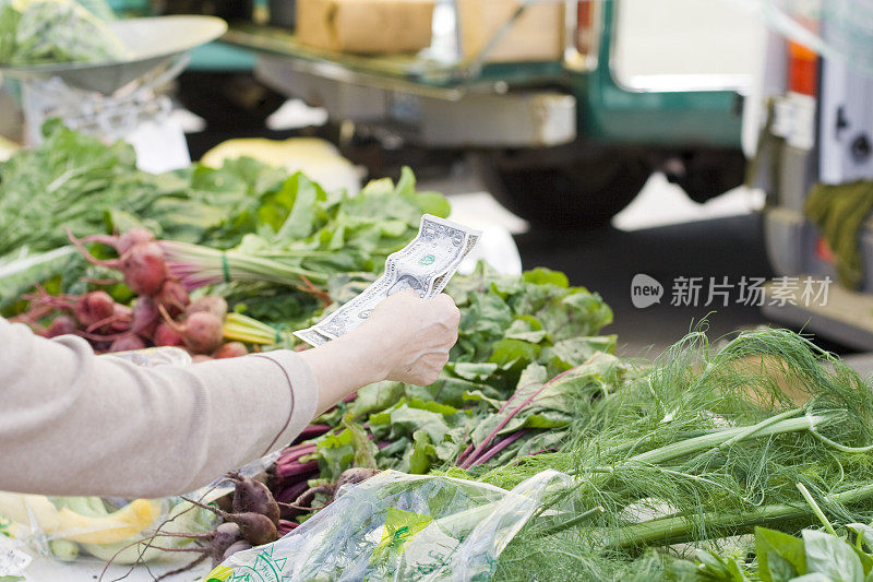 女人用现金购买新鲜的有机莳萝和蔬菜