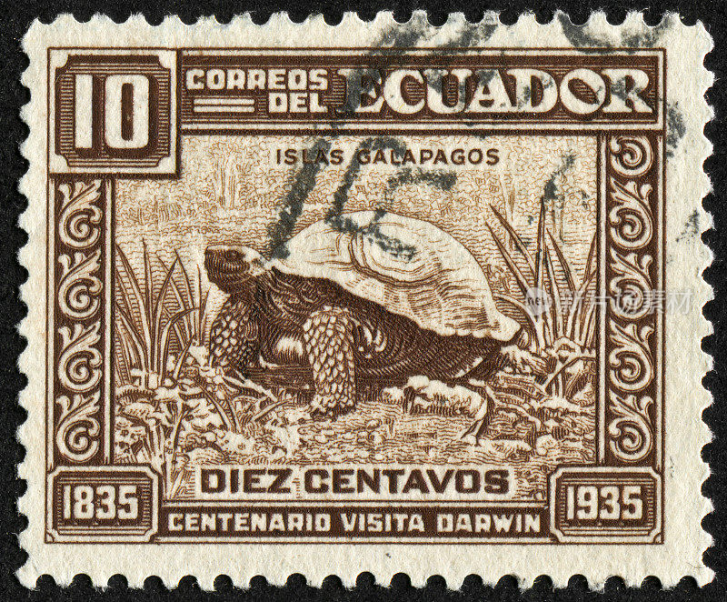 加拉帕戈斯群岛的邮票