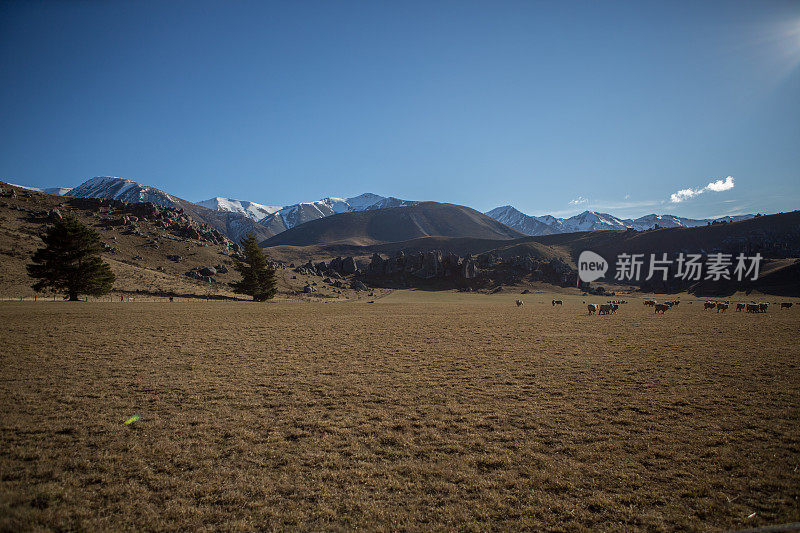 新西兰的风景