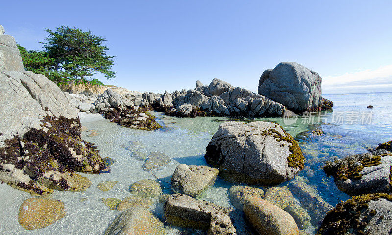 加州太平洋格罗夫蒙特利湾沿岸的岩石