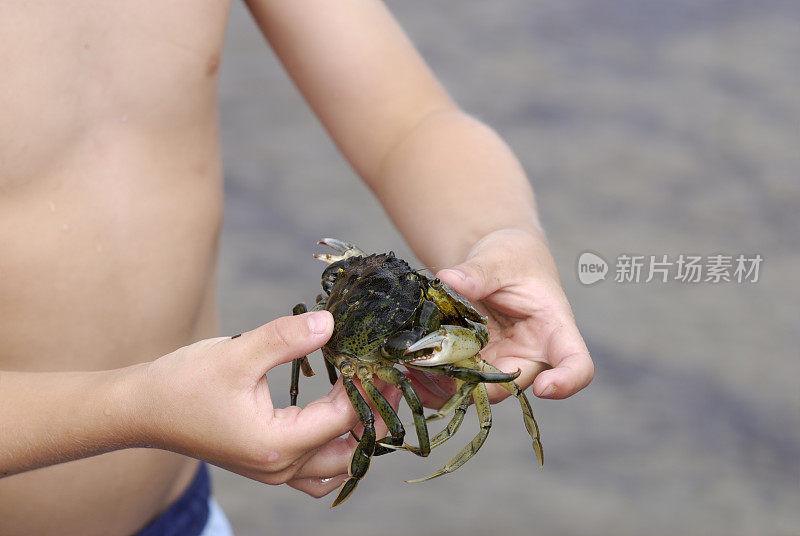 抱着两只螃蟹的男孩