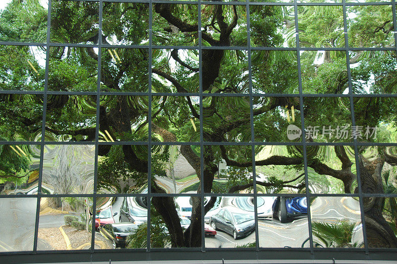 树上和停车场的倒影映在镜面的窗户上