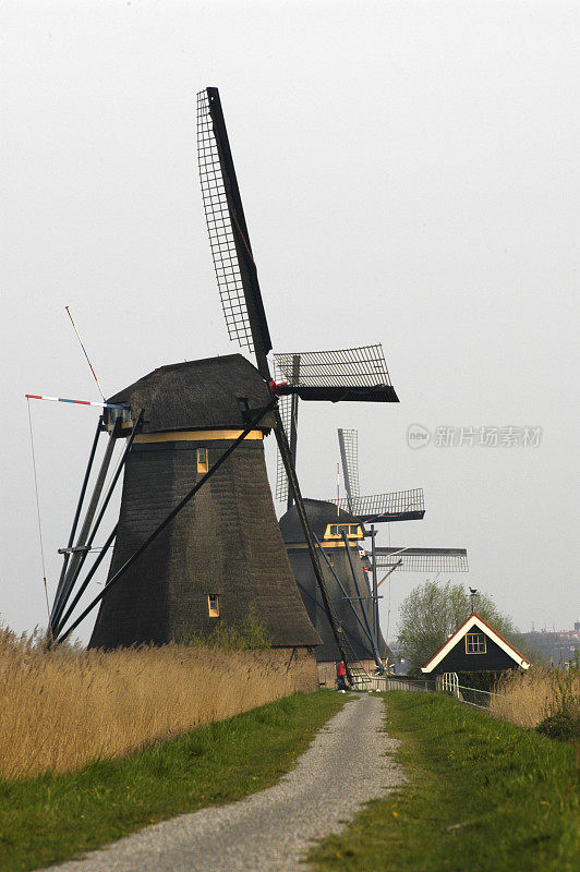 Kinderdijk的荷兰风车