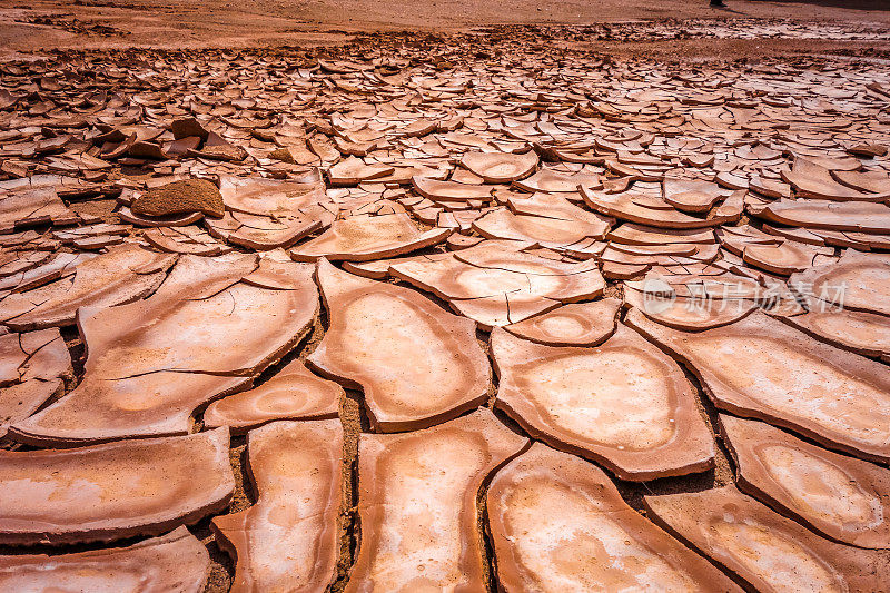智利阿塔卡马圣佩德罗死亡谷沙漠的龟裂土地
