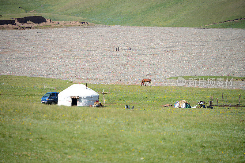 美丽的山地景观与白色的蒙古包和自由奔跑的马靠近萨利塔什，吉尔吉斯斯坦
