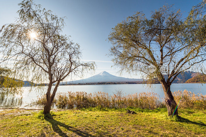 早晨的富士山和川口湖，秋季的富士山在山町。